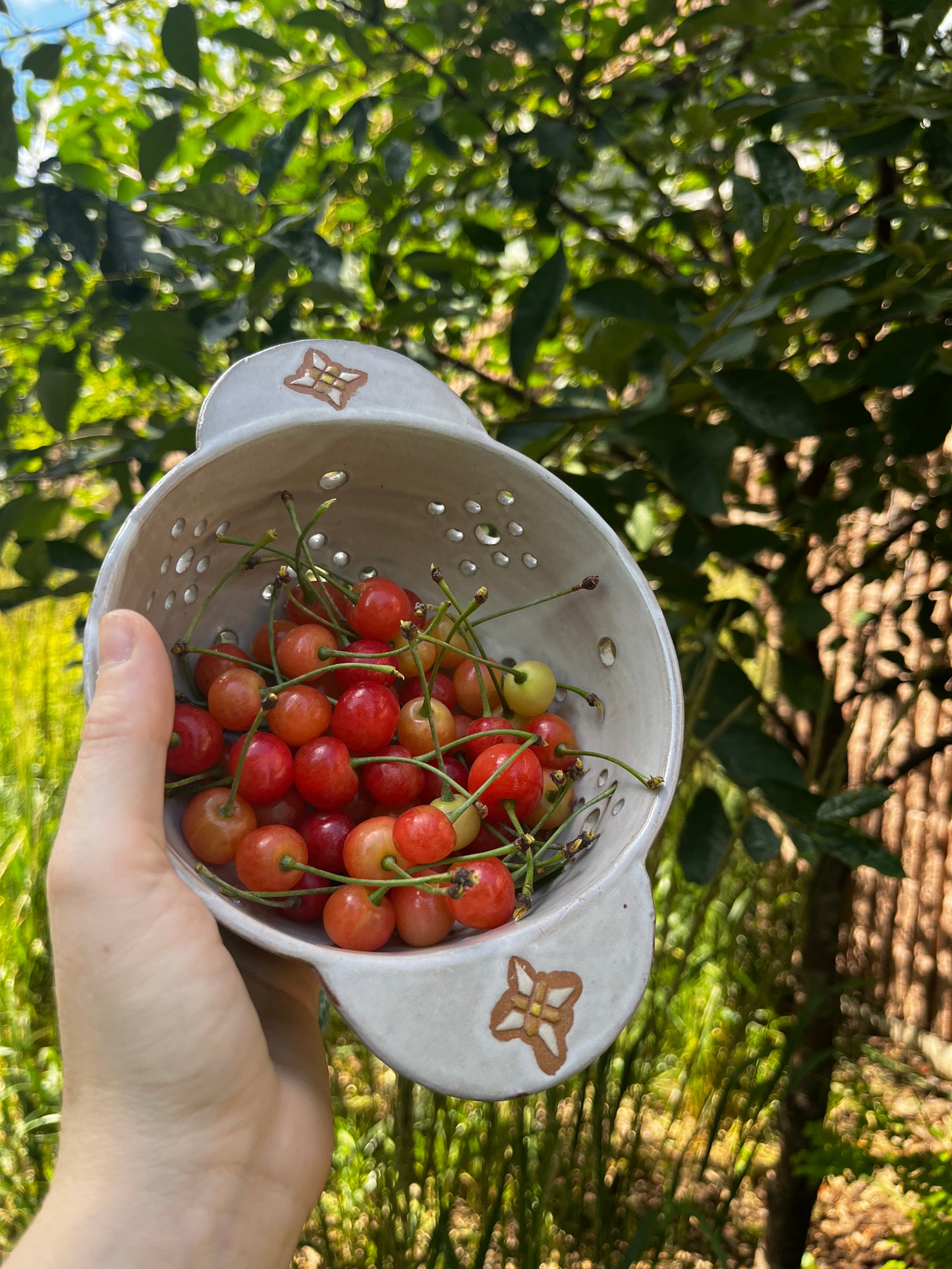 Quilt Star Berry Bowl